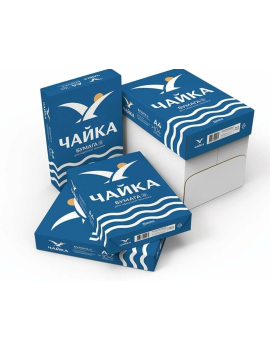 CHAYKA A4 FOTOKOPİ KAĞIDI 80 GR 500 LÜ