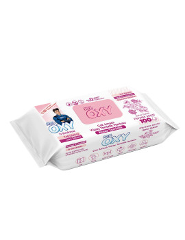 MR.OXY YÜZEY TEMİZLK HAVLUSU 100LÜ