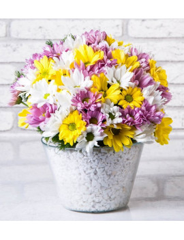 Lilyum Çiçek Aranjman