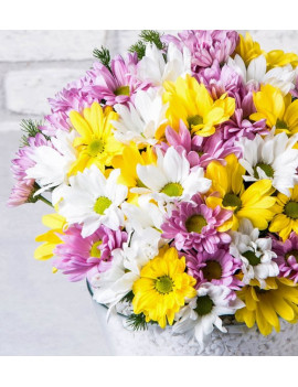 Konik Vazoda Renkli Papatya Aranjmanı