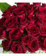 Büyülü Aşk 25 Kırmızı Güller