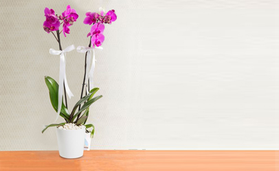 Özel Kişilere Çiçek