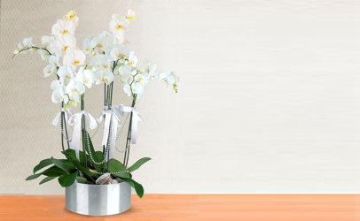 Özel Gün Çiçekleri