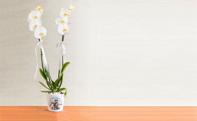 Ürüne Göre Çiçek